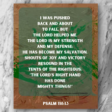Load image into Gallery viewer, Psalm 118:13